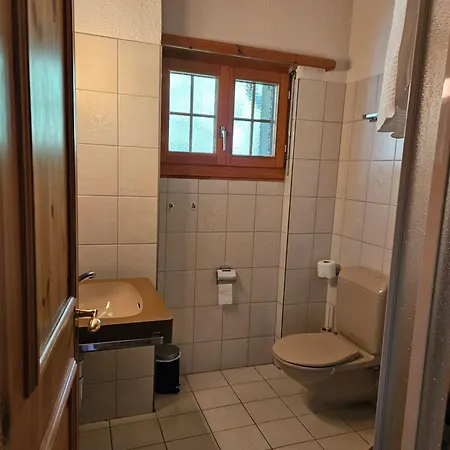 Gemuetliche An Zentraler Lage * Disentis